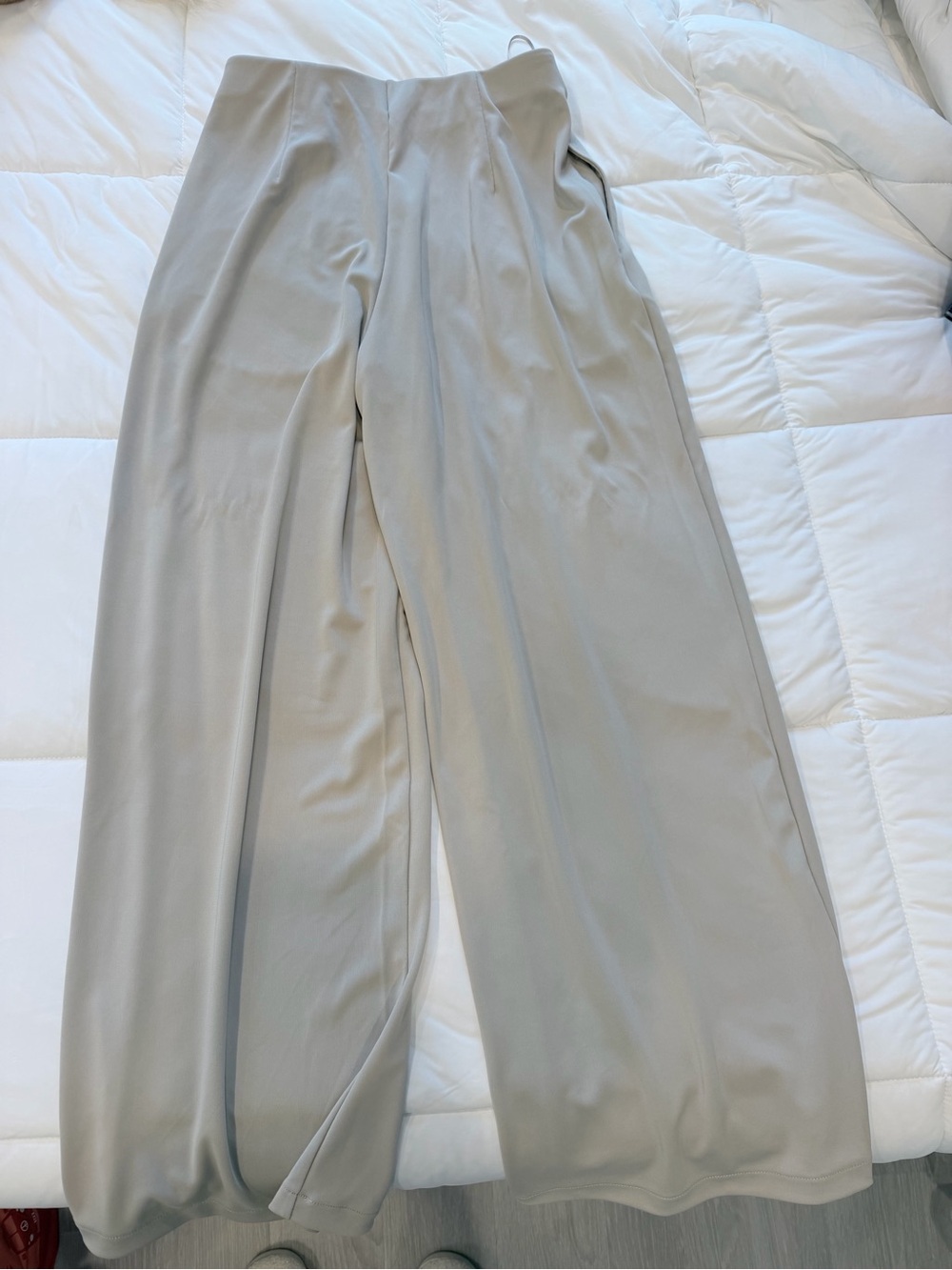 Uniqlo Wide-Leg Pants — beige